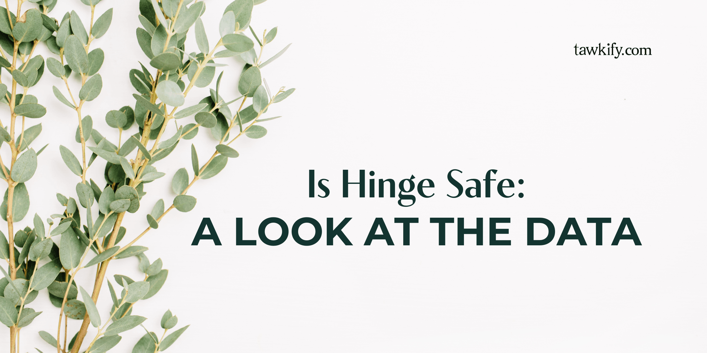 Explore the safety of using Hinge in 2024. Read our comprehensive analysis of the latest data and learn how to protect yourself while using this popular dating app.
