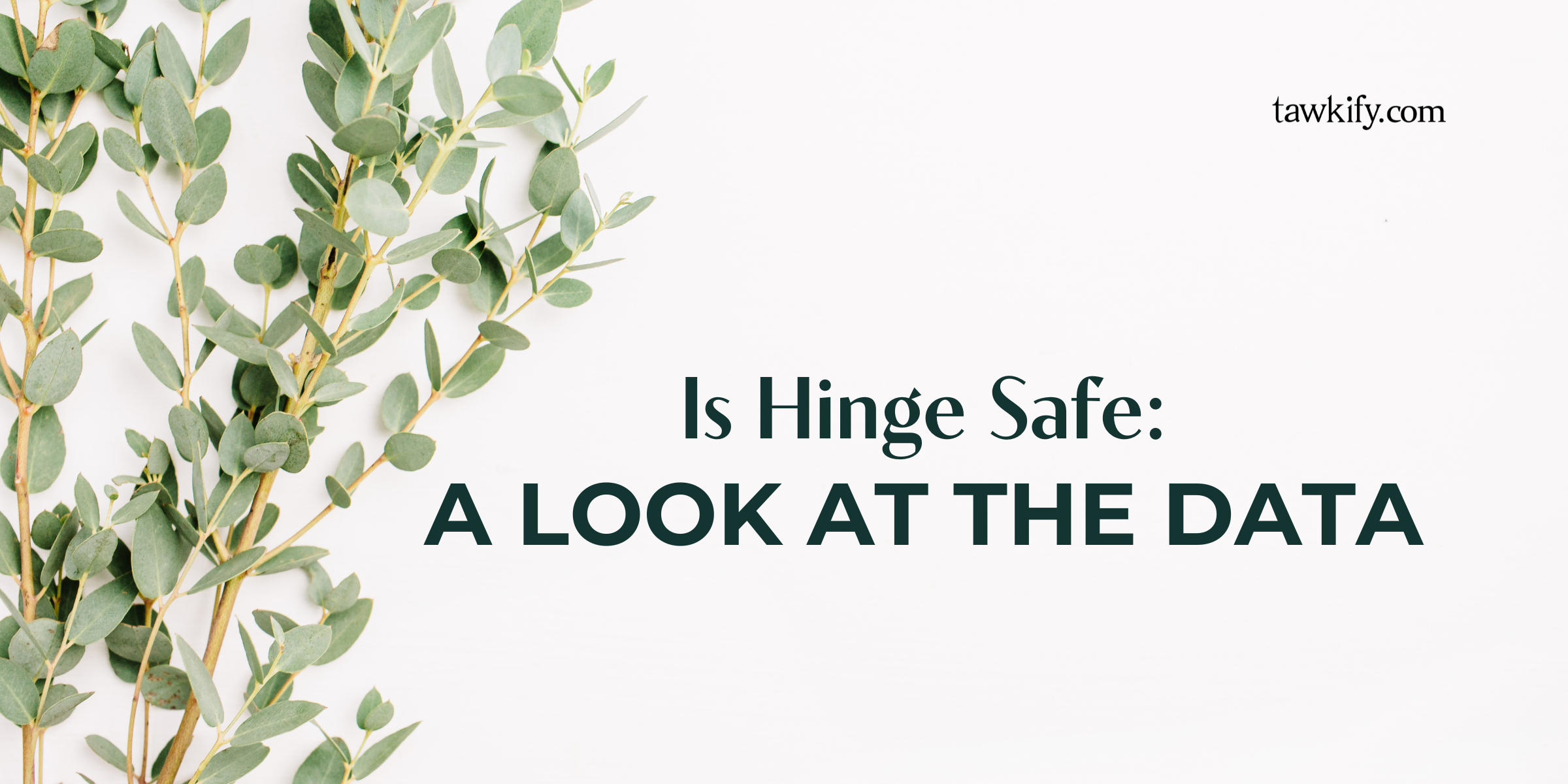 Explore the safety of using Hinge in 2024. Read our comprehensive analysis of the latest data and learn how to protect yourself while using this popular dating app.